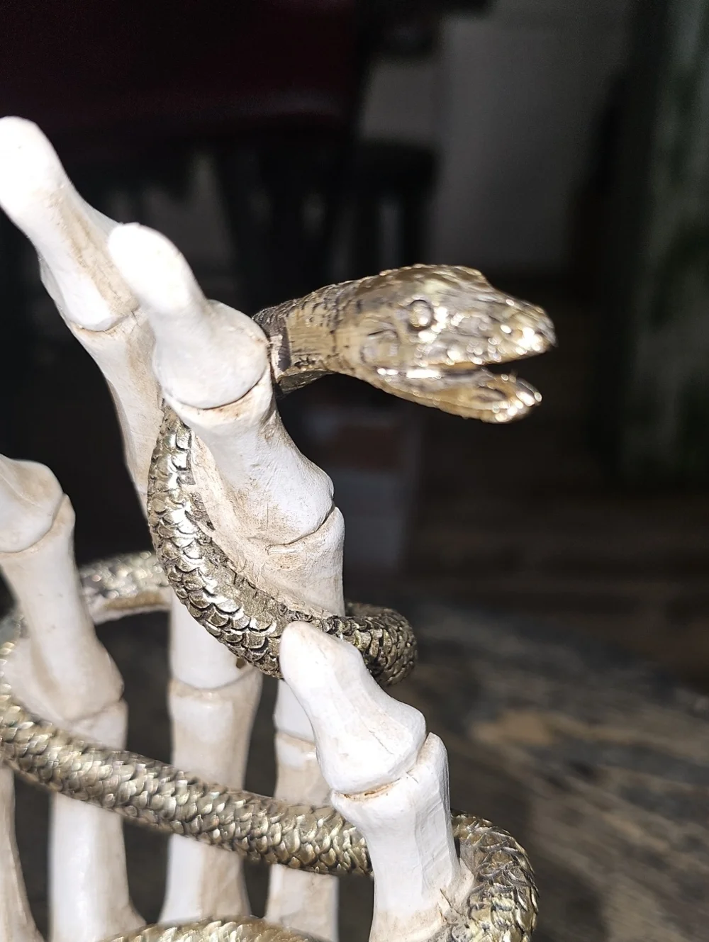 Christian Lacroix Hand Holding Snake